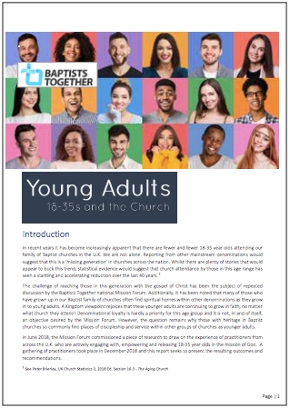 BT Young adults report1